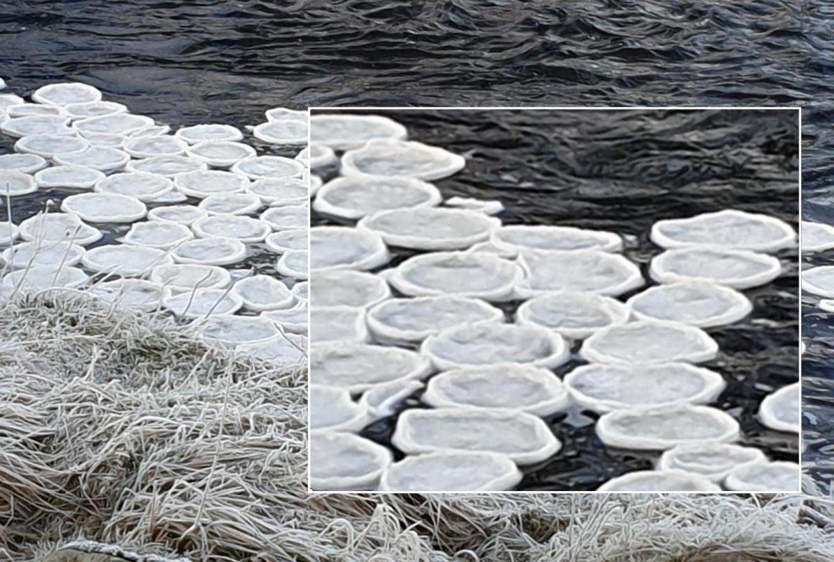 Ice Pancakes found in the UK