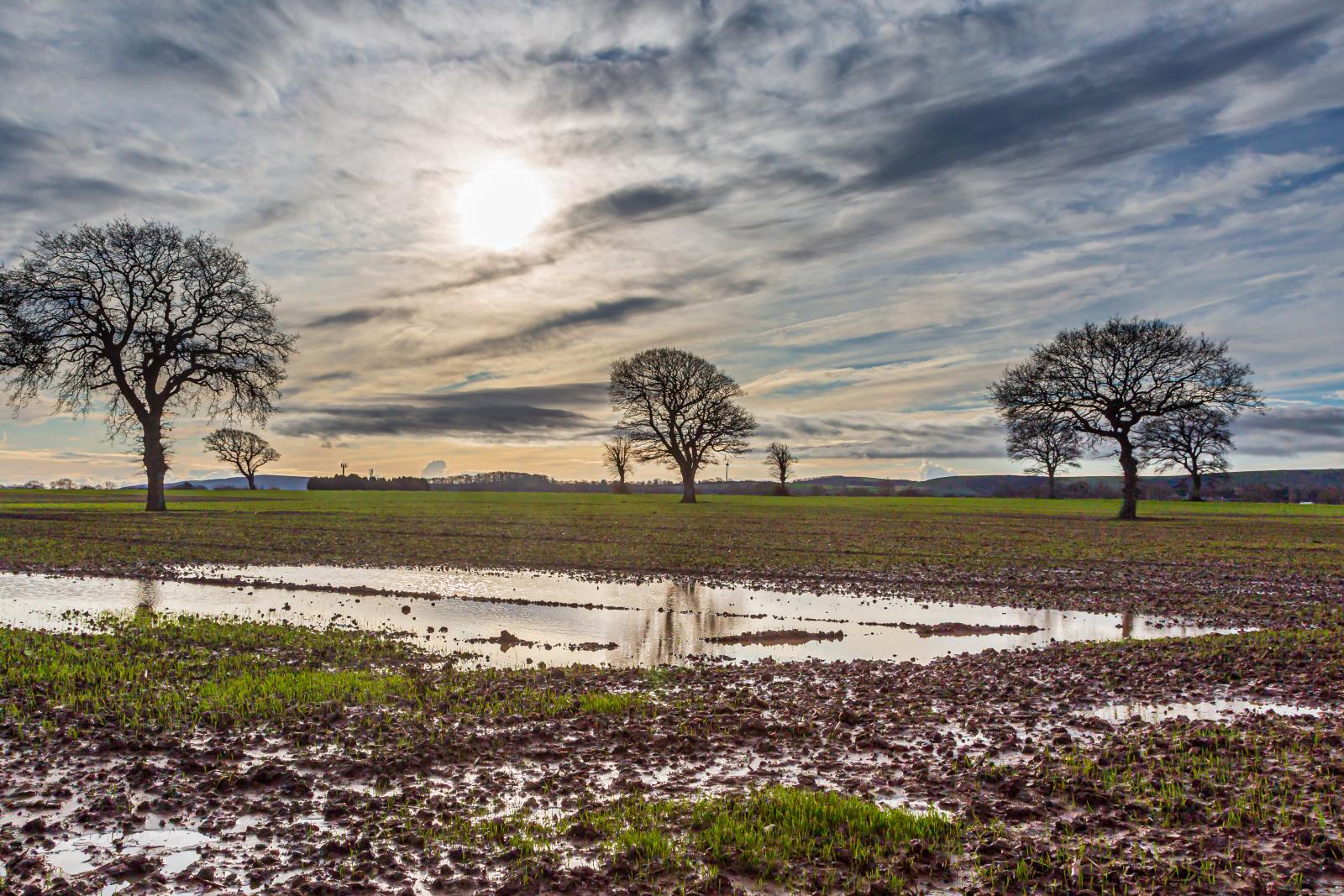 Drier this weekend and mild again on Sunday