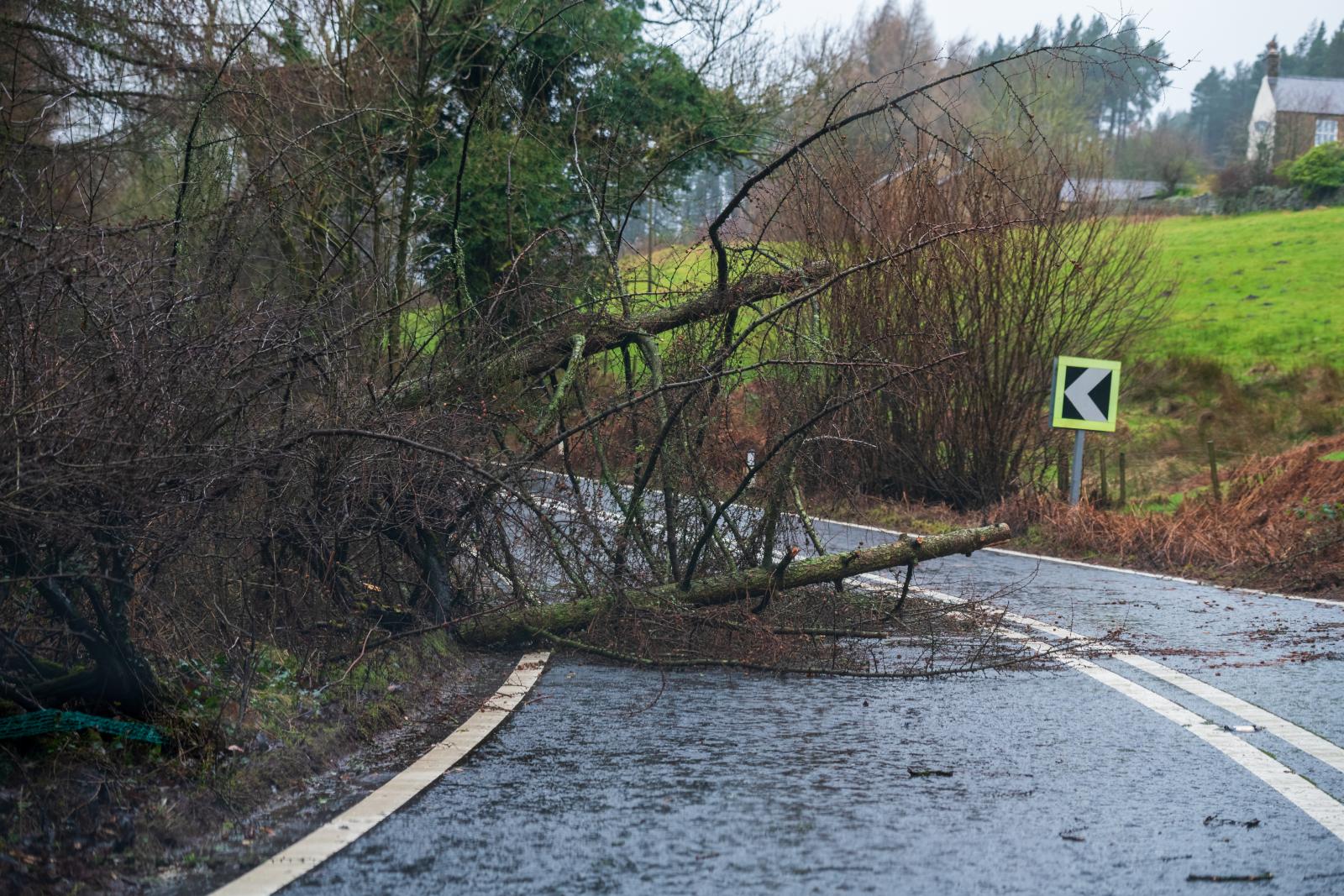 Cold spell over as windy and milder weather takes hold - Storm Isha arrives Sunday