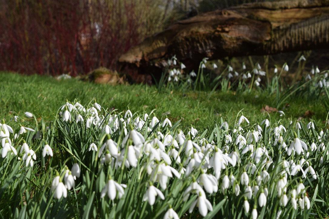 Weekend weather for early February. Colder air takes hold next week